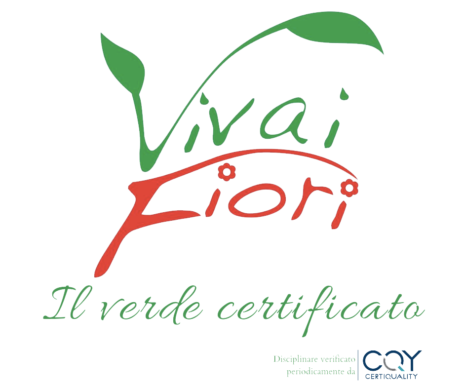 VIVAI FIORI