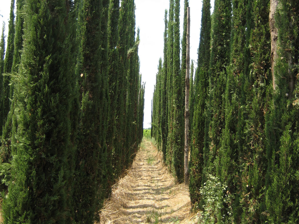 Pastorano Circumvallazione